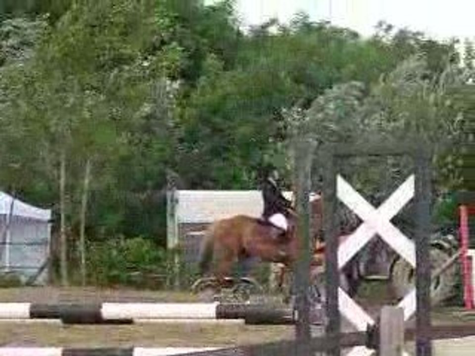 MOI ET MERLIN A VILLEDIEU