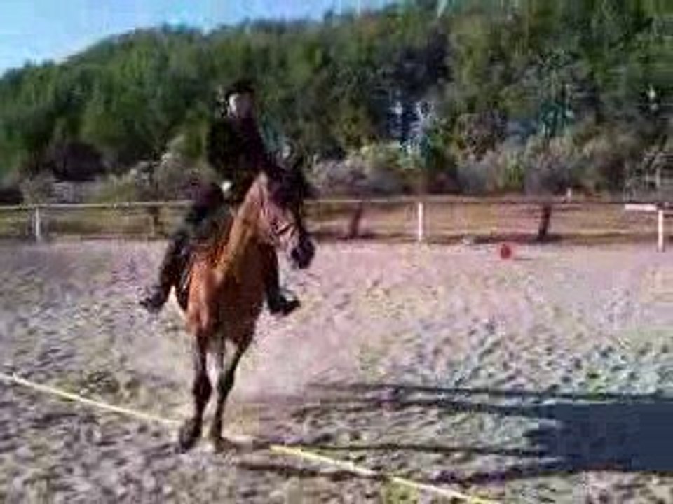 vidéo Emir incurvation départ au galop