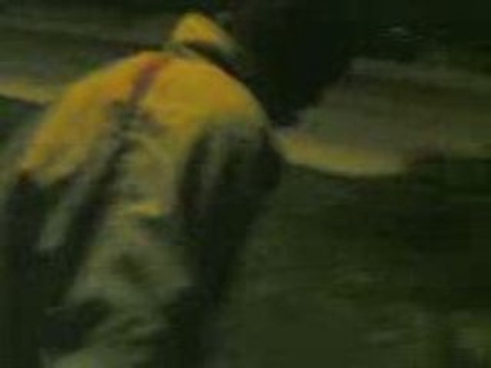 Foreler her yerde oynar !!!