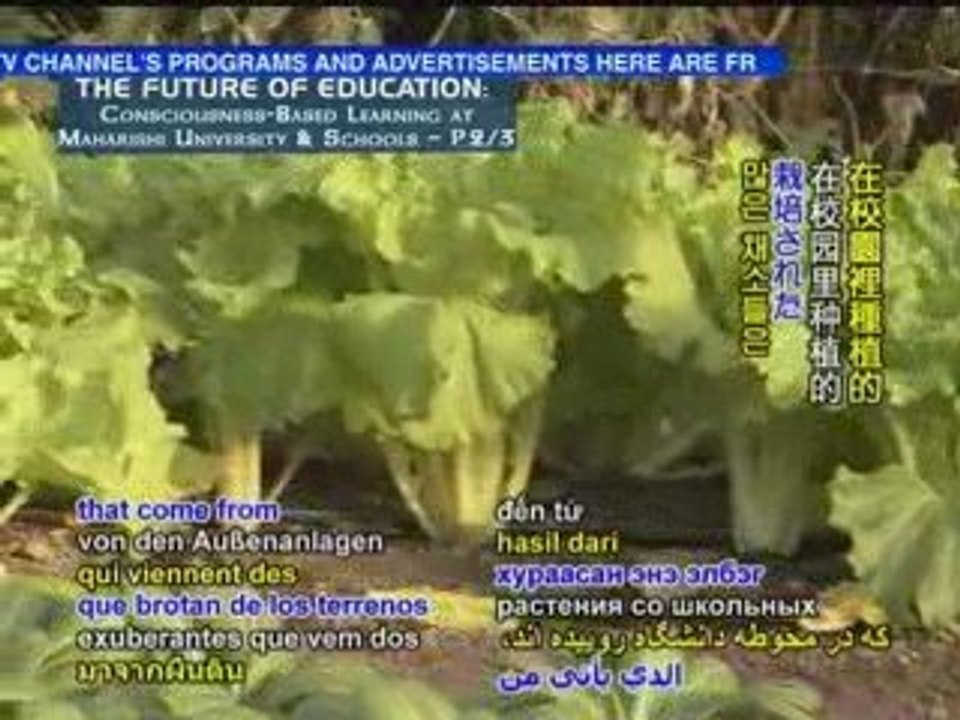 The Future of Education: Consciousness-Based Learning at Mah