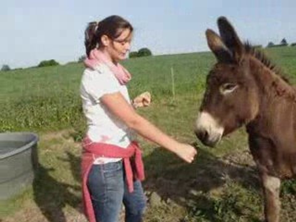 francky vincent adéle mélody