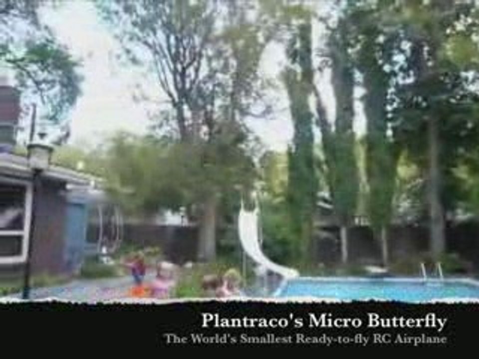 Micro Butterfly at the Pool