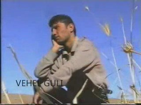 Razi Zaxoyi - Bebexti