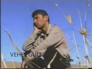 Razi Zaxoyi - Bebexti