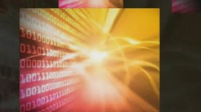 Wordpress Niche Income