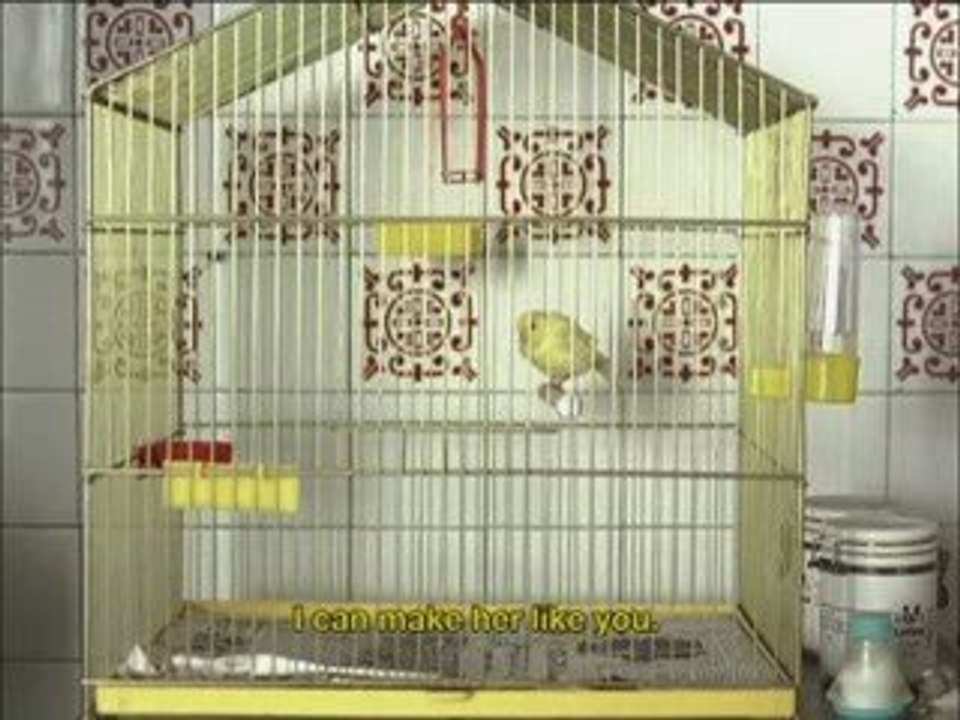 mtv-bird09-20090615-114044