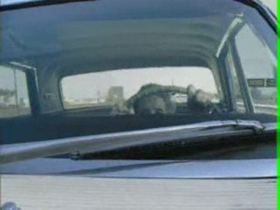 Humour crash d'un avion de ligne sur autoroute