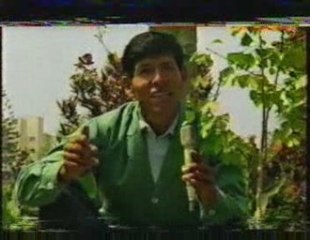 Programa Siempre Verde 5 - Tv canal 7 - Parte 2