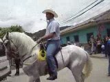 Horse falls on Man while riding