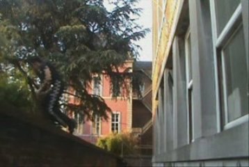 Belgian Parkour - Nos rêves