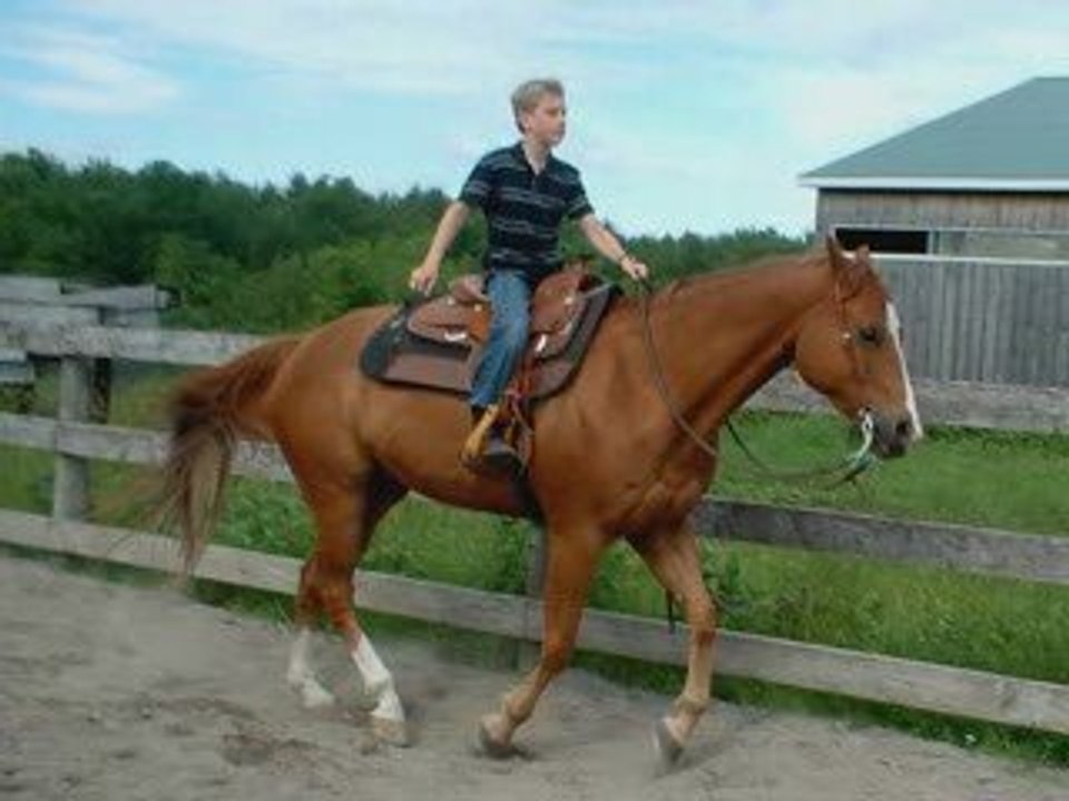 Nos amours de toujours