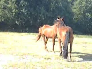 Quinfoot 24 juin 2009