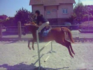 Obstacle le 24 Juin 2009