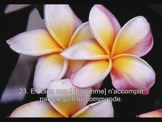 Sourate 80. Il s'est renfrogne Abasa sous titrée en français