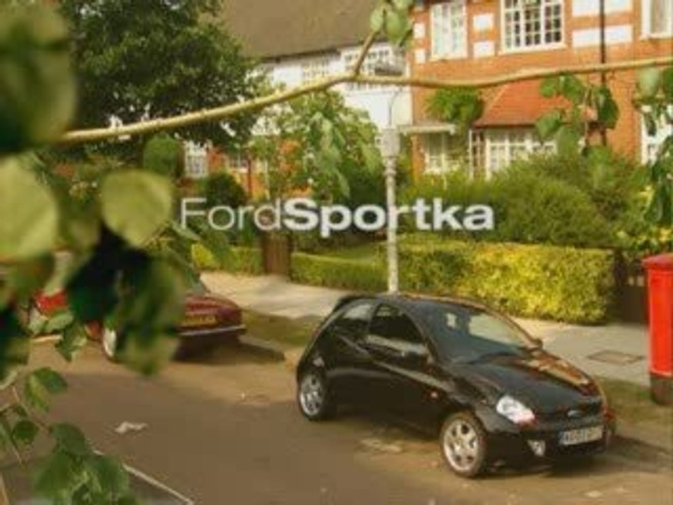 Pub Ford Sportka protège votre voiture des pigeons