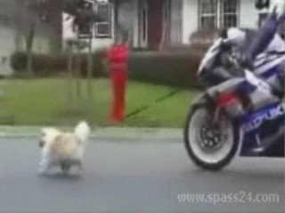 Pub Suzuki Gsxr1000 Humour