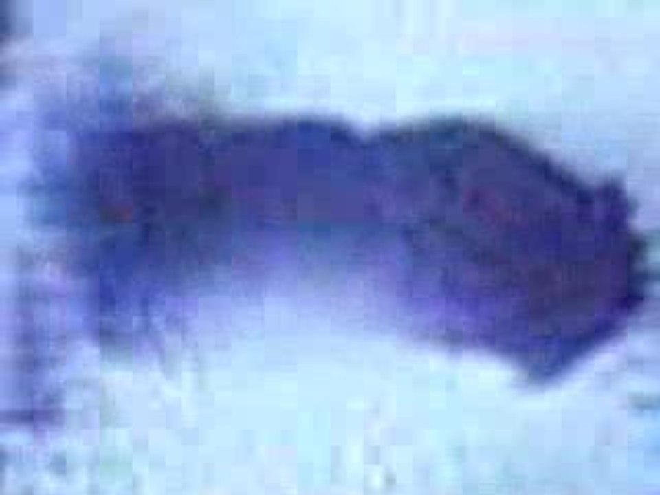 Maitres_du_Monde_V2