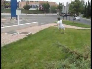 Day of tricking JESUS