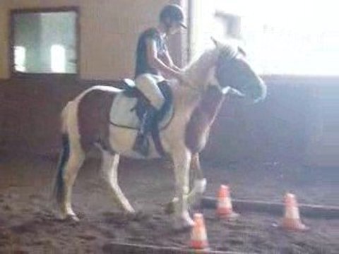 Charlotte & Cochise 2 Concours Juin 2009