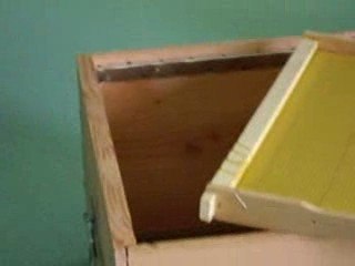 Atelier abeille maternelle Saint Jean