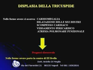Patologie del ventricolo destro 2° parte