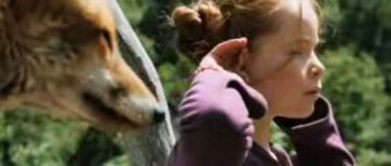 Arkadaşım Tilki (2007) Fragman