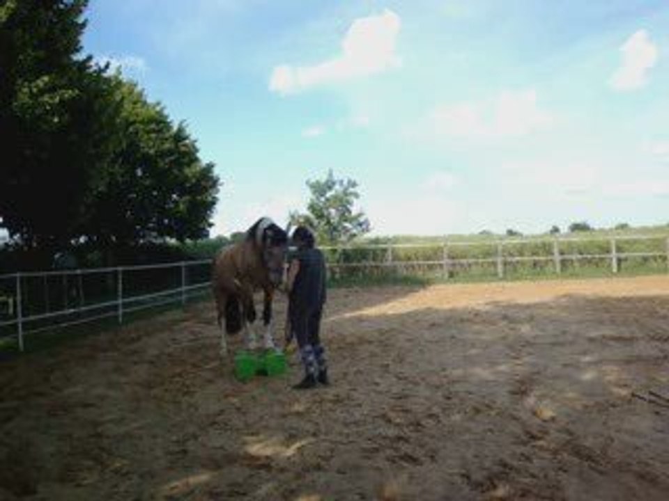 16 juin 2009