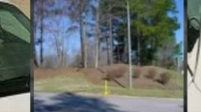 Holly Springs, NC Windshield Repair and Replacement