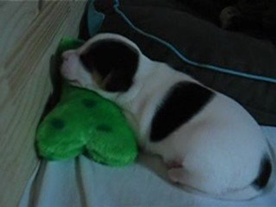 Les 6 crapules (J19 II)