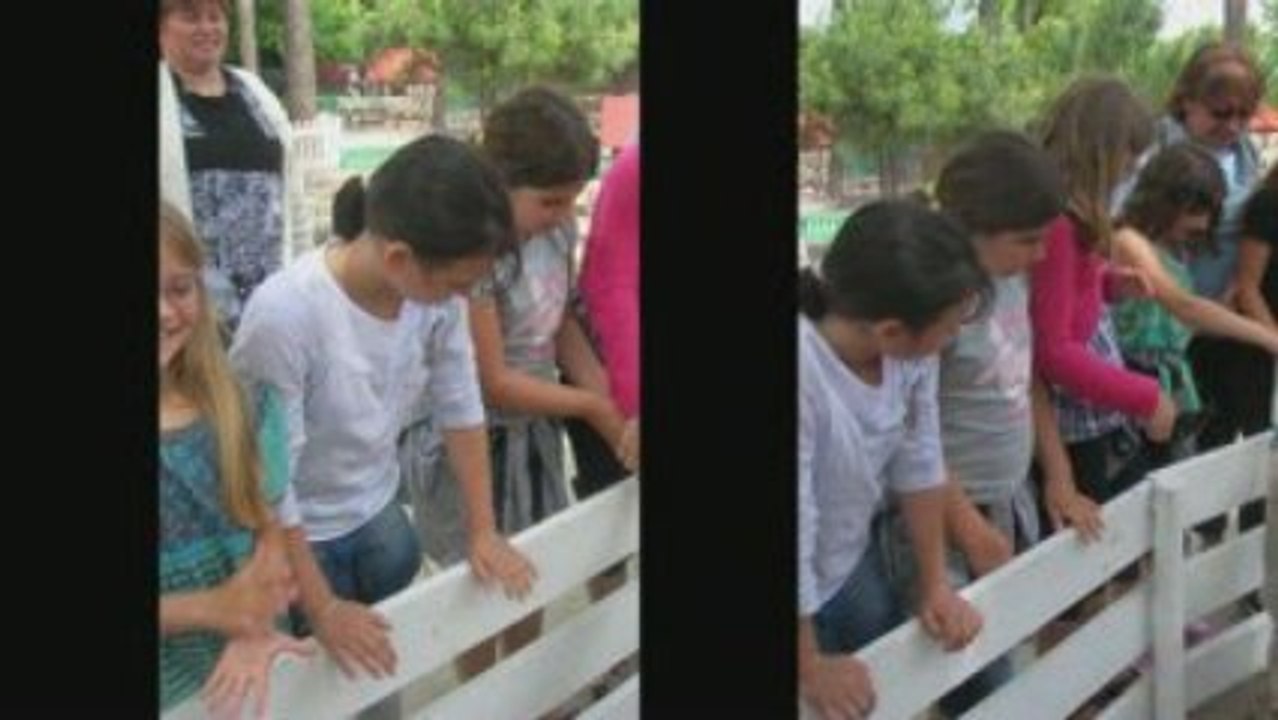 LA MINI FERME DE LA COCCINELLE