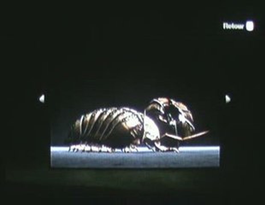[ Video test ] Deadly Creature