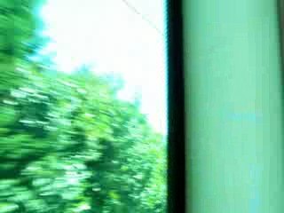 Mercedes Citaro G GNV n°263 du réseau TAN (Nantes)