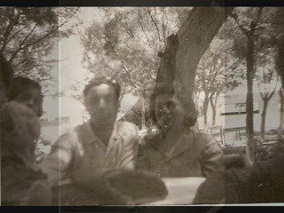 Sezen Aksu - Lale Devri (Yürüyorum Düş Bahçelerinde 2009)