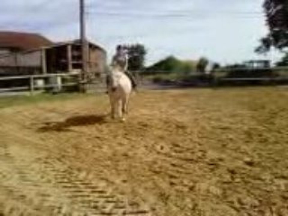 Saut obsacle
