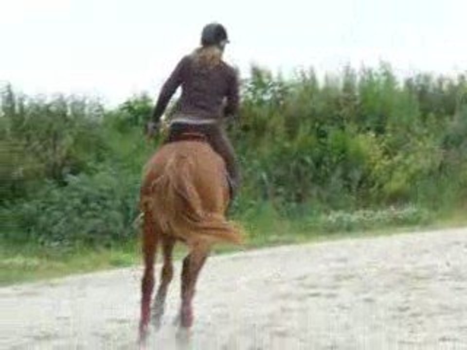 au galop dans la carrière !