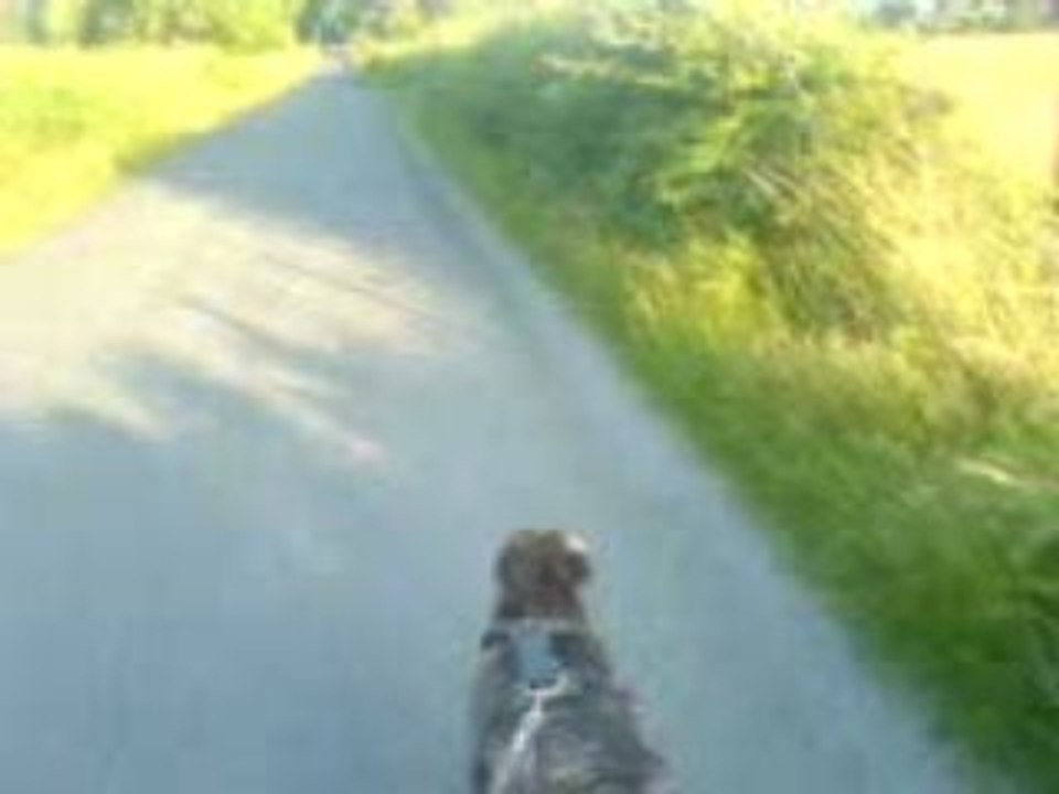 session 4 piste cyclable roller american staff