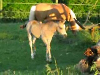 Very Pretty Kool 1 mois