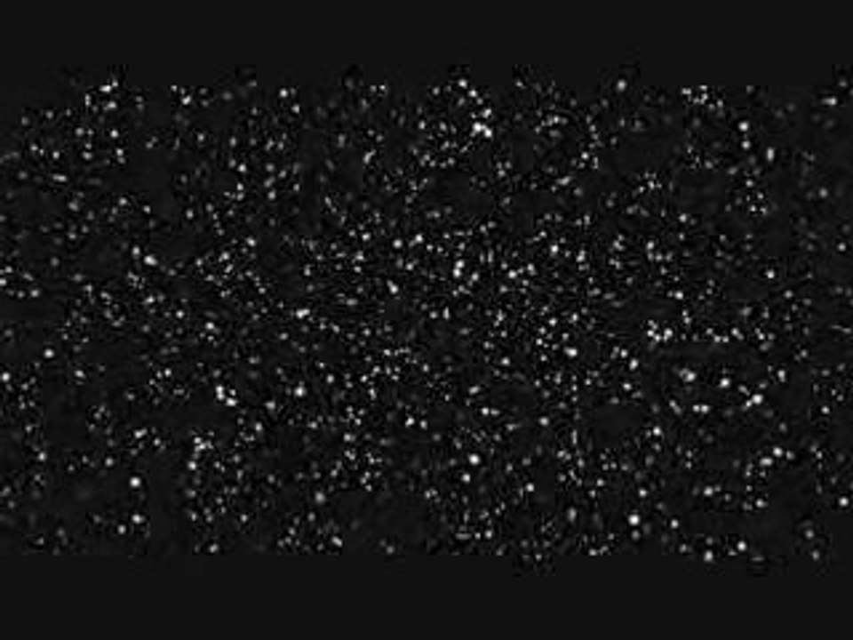 Promotion Jessy-James jjvdance