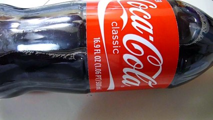 How to cook Short Ribs in Cola