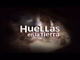 Trailer - Huellas en La Tierra