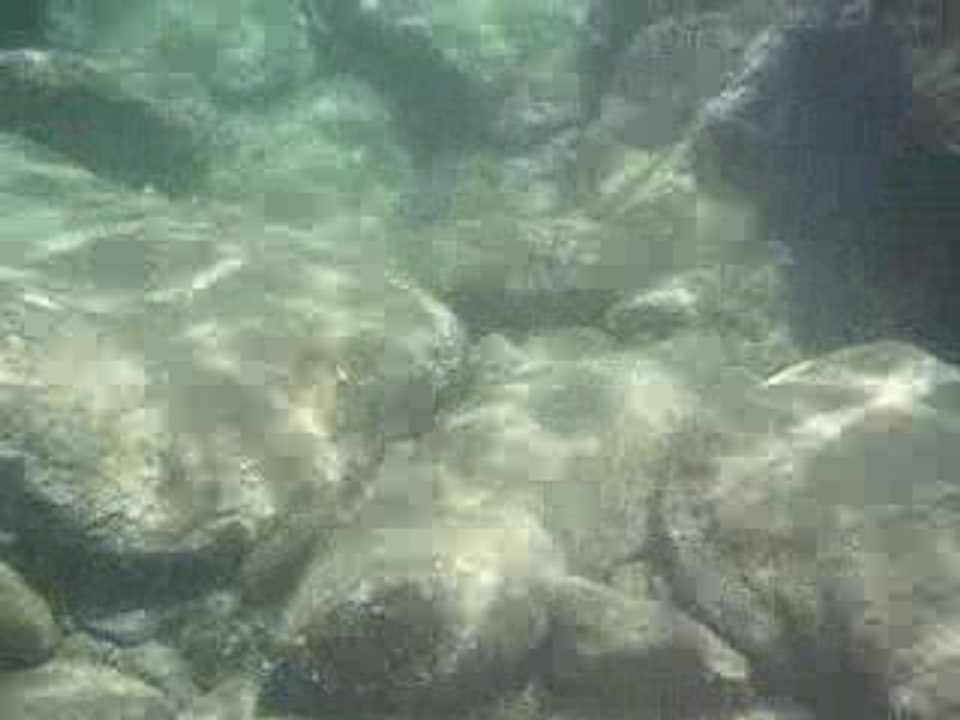 PICT0064