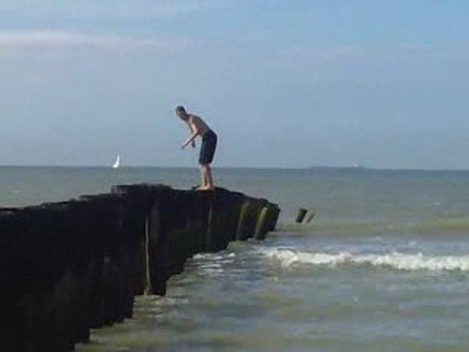 moi backflip video