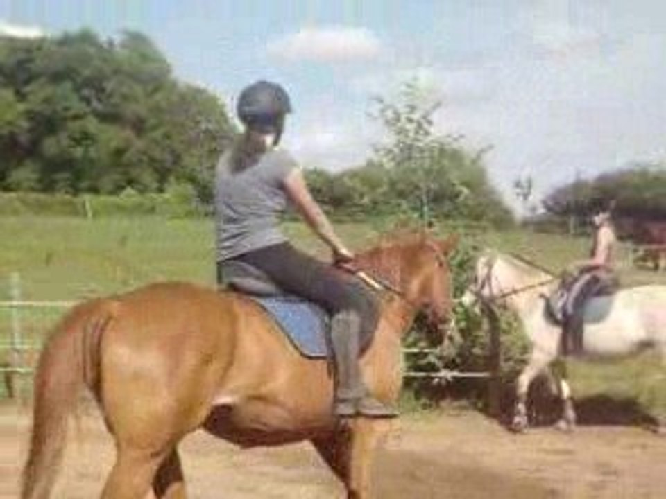 Dressage du 17/06/09 Moi et Tucker / Marion et Inti