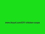 Online Video Tutorials - Building a Chicken Coop – Tips ...