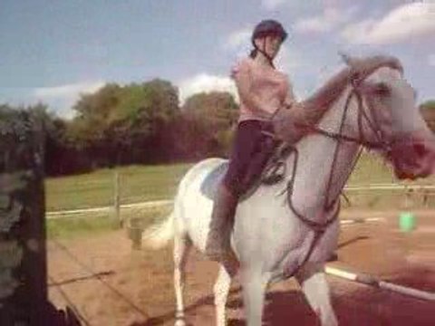 Dressage du 17/06/09 Moi et Tucker / Taphine et Liloura