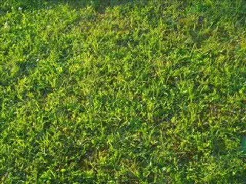 lui et moi la plus belle histoire d'amour