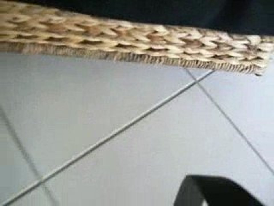 Le mystère de la souris jaune