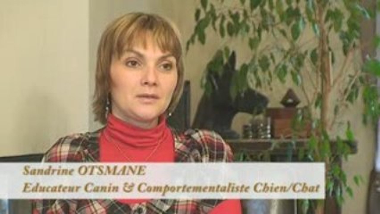 educateur canin et comportementaliste chien et chat paris et