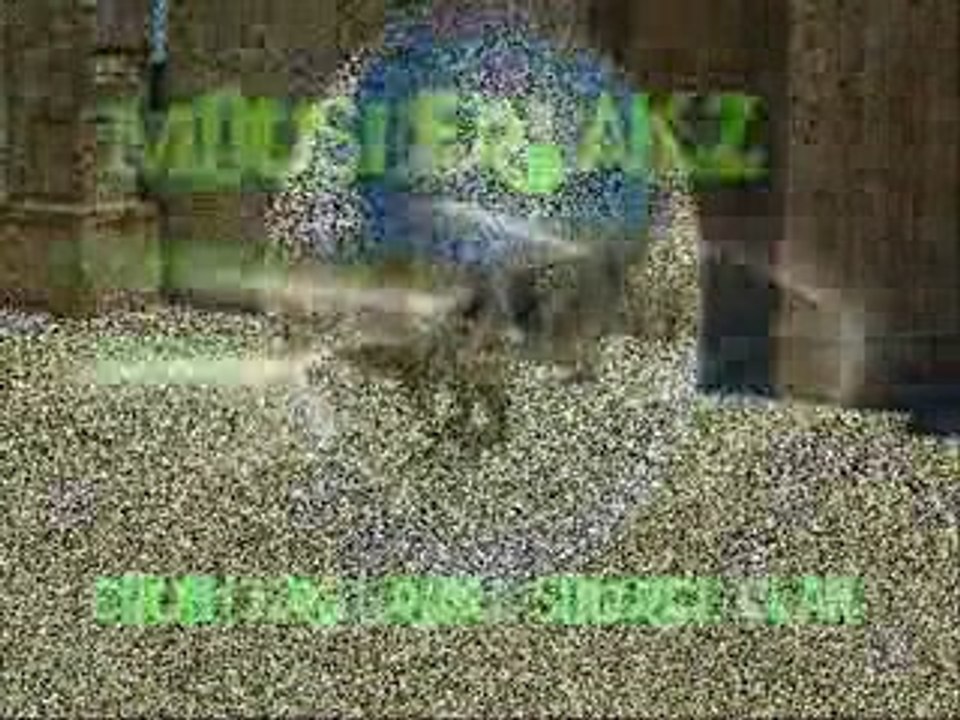 [mousefreakz] cs:s clan