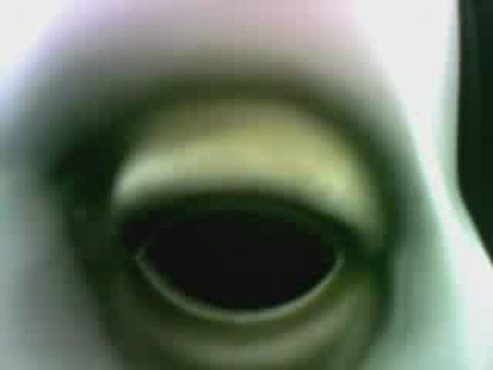 Scream